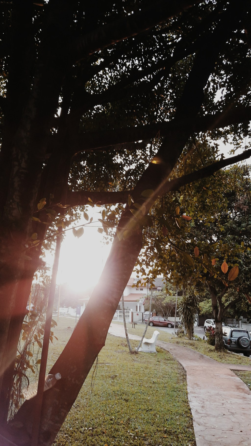 Remembering Our Place In The&nbsp;World