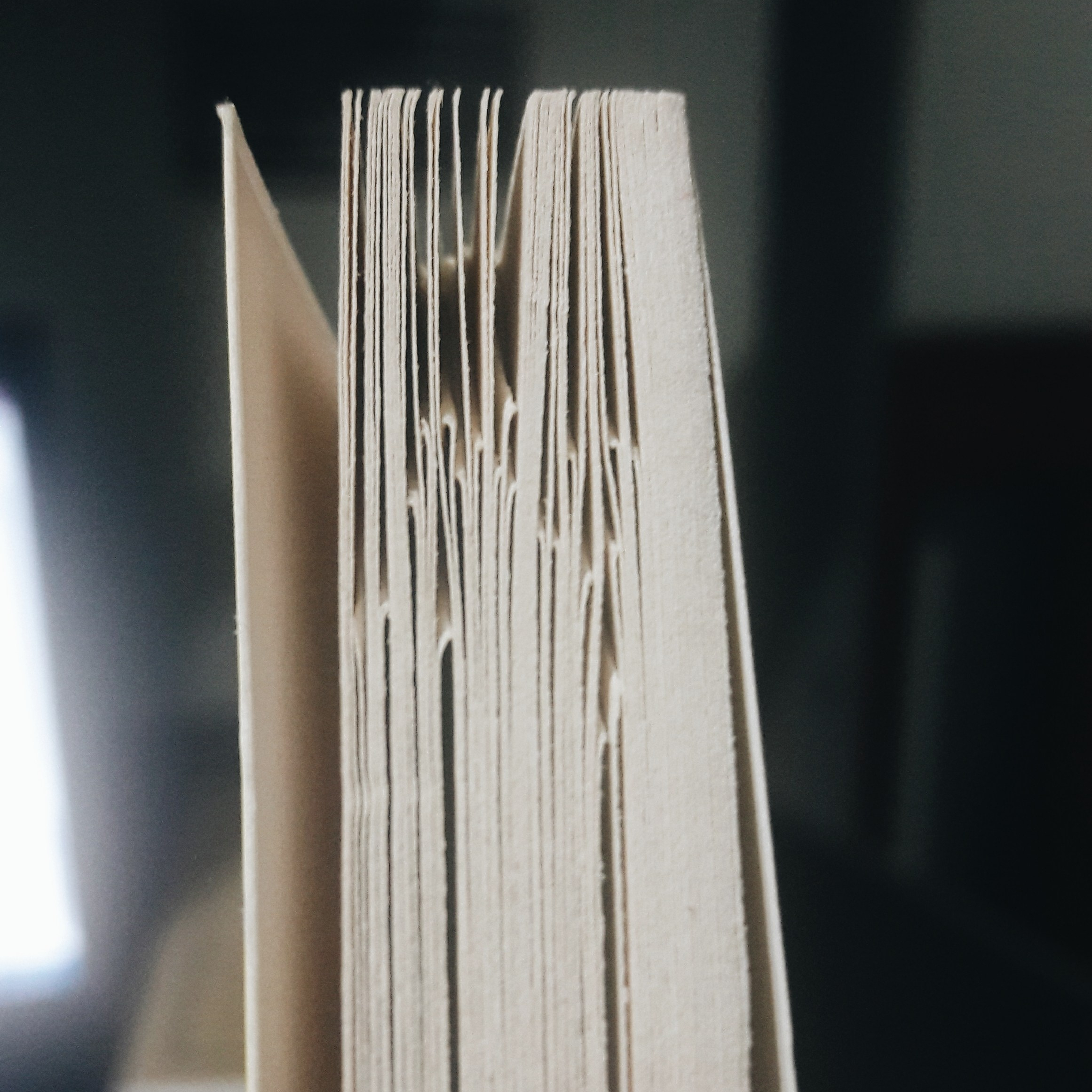 Processed with VSCO with a6 preset