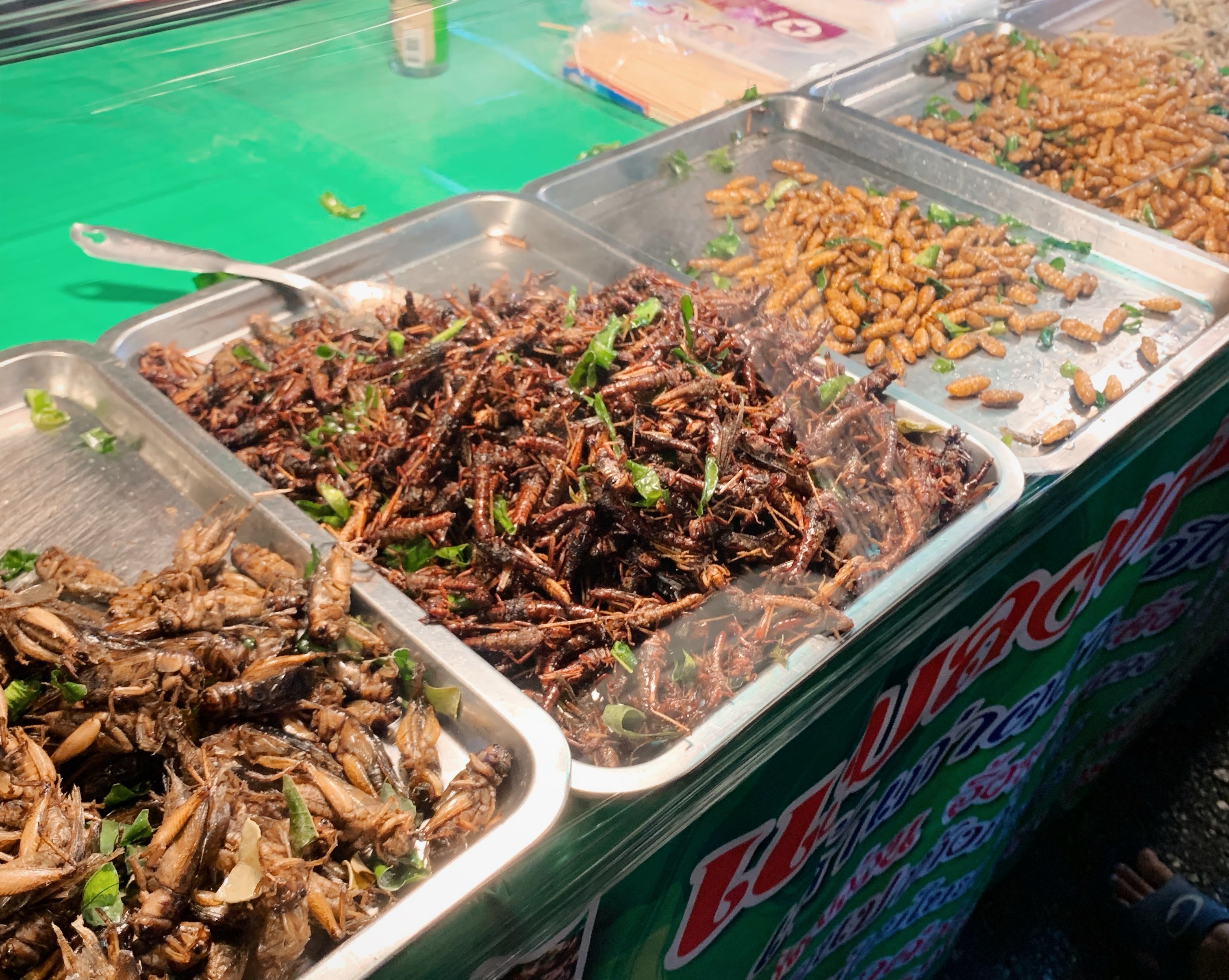 Processed with VSCO with al3 preset